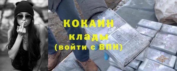 сатива Кодинск