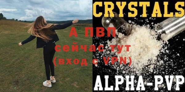 спайс Михайлов