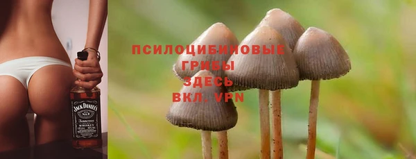 ECSTASY Михайловск
