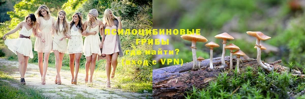 ECSTASY Михайловск