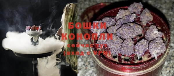 спайс Михайлов