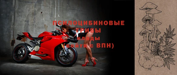крисы Козельск