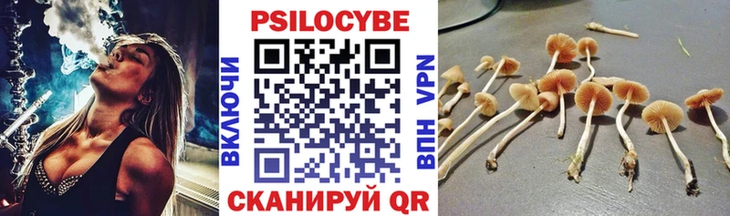 Псилоцибиновые грибы Magic Shrooms  Великий Новгород 