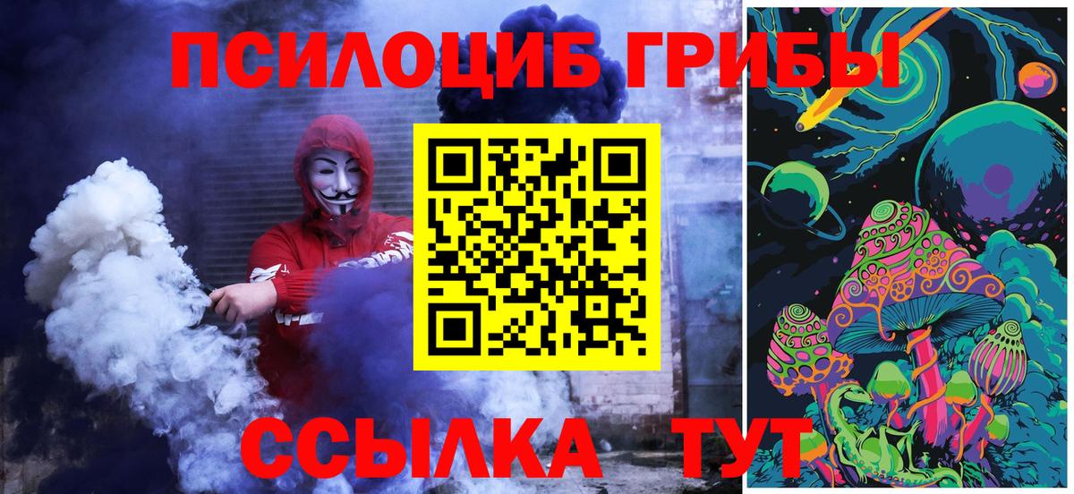 Великий Новгород  Галлюциногенные грибы Psilocybe  Вход с VPN 