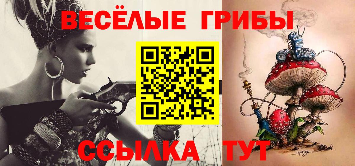 Псилоцибиновые грибы Psilocybine cubensis Великий Новгород