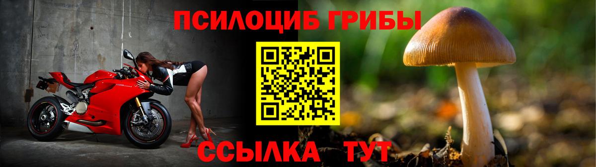 Псилоцибиновые грибы GOLDEN TEACHER Великий Новгород